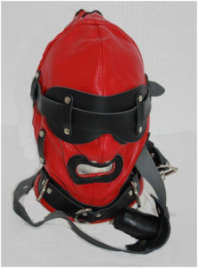 leather hood